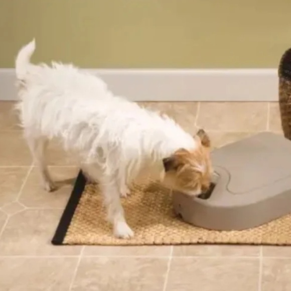 🔥HOST PICK🔥PETSAFE AUTOMATIC PET FEEDER, NEVER MISS A MEAL, PORTION CONTROL - Picture 5 of 10